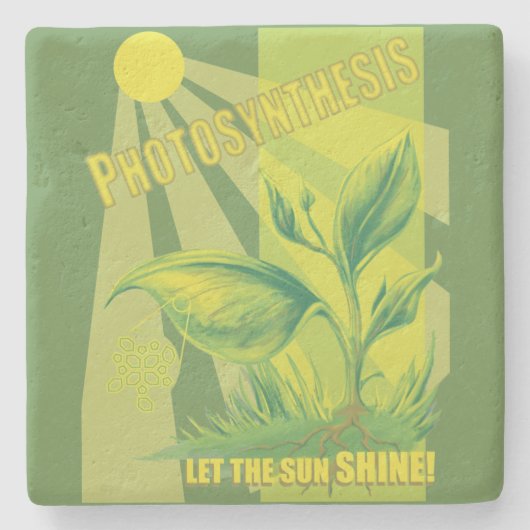 Fotosynthese Steinuntersetzer (Vorderseite)