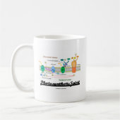 Fotosynthetischer Geist (Biochemie Attitude) Kaffeetasse (Links)