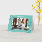 Fototürkisgrün der Kalikokatze sitzendes Karte (Gelbe Blume)