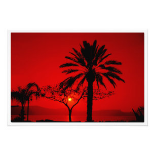 Fotovergrößerung Fotodruck