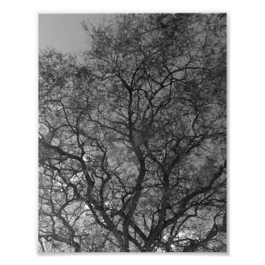 Fotovergrößerung Fotodruck (Vorne)