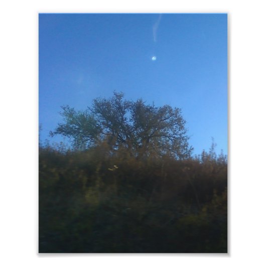 Fotovergrößerung Fotodruck (Vorne)