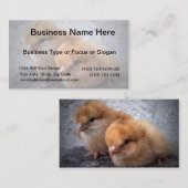 Fotovignette mit zwei Rhode Island Rot-Küken Visitenkarte (Vorne/Hinten)