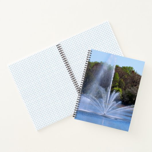 Fountain On A Pond Notizblock (Innenseite)