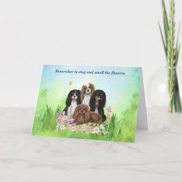 Four Cavalier King Charles Spaniels in Blume Dankeskarte