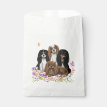 Four Cavalier King Charles Spaniels in Blume