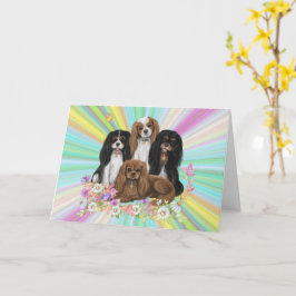 Four Cavalier King Charles Spaniels in Blume Karte