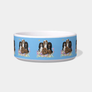 Four Cavalier King Charles Spaniels in Blume    Napf