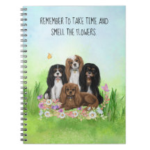 Four Cavalier King Charles Spaniels in Blume