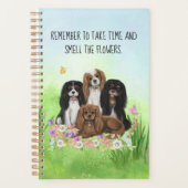 Four Cavalier King Charles Spaniels in Blume Planer (Vorderseite)