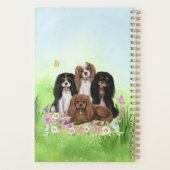 Four Cavalier King Charles Spaniels in Blume Planer (Rückseite)