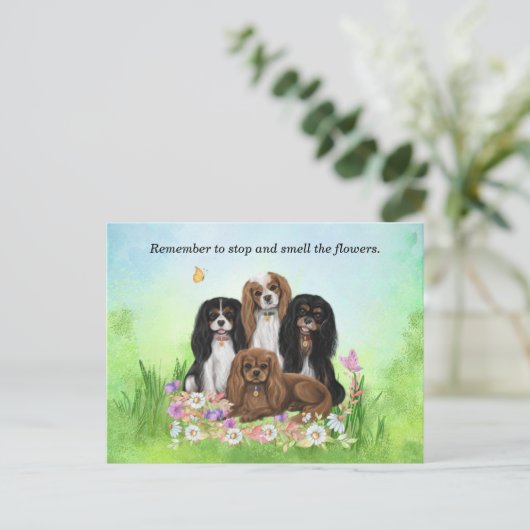 Four Cavalier King Charles Spaniels in Blume Postkarte (Stehend Vorderseite)