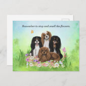 Four Cavalier King Charles Spaniels in Blume Postkarte (Vorne/Hinten)
