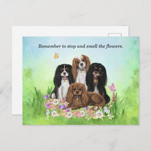 Four Cavalier King Charles Spaniels in Blume Postkarte (Vorne/Hinten)