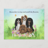 Four Cavalier King Charles Spaniels in Blume Postkarte (Vorderseite)