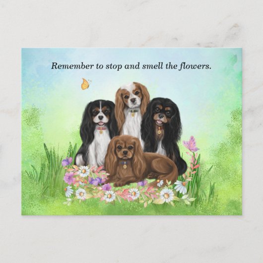 Four Cavalier King Charles Spaniels in Blume Postkarte (Vorderseite)