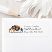 Four Cavalier King Charles Spaniels Simple (Insitu)