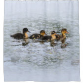 FOUR DUCKLETS SWIMMING DUSCHVORHANG (Vorderseite)