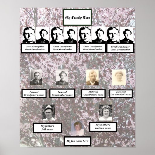 Four Generation Plum Blossom Family Tree Poster (Vorne)
