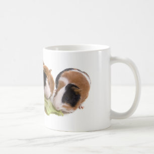 Four guinea Pigs who eat Kaffeetasse