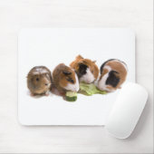 four guinea pigs who eat, mousepad (Mit Mouse)