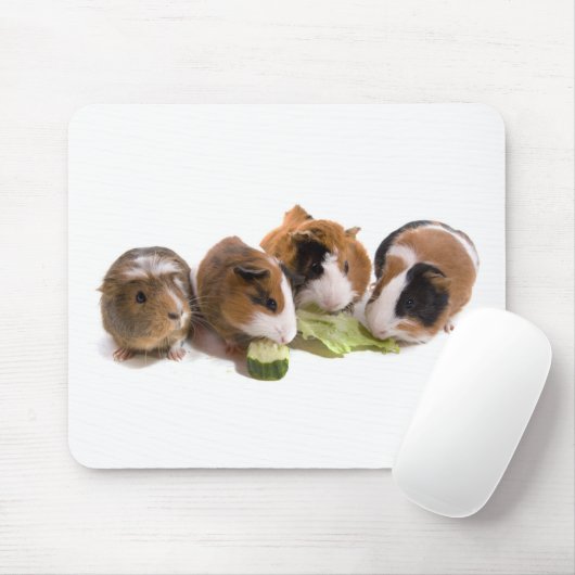 four guinea pigs who eat, mousepad (Mit Mouse)