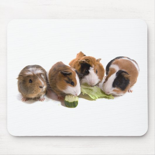 four guinea pigs who eat, mousepad (Vorne)