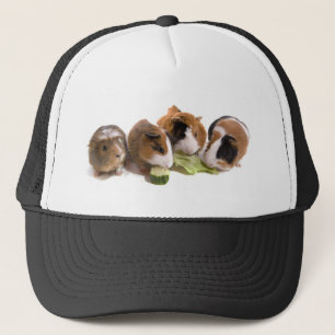 four guinea pigs who eat, truckerkappe