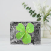 Four Leaf Clover Postcard - Black & White & Green Postkarte (Stehend Vorderseite)