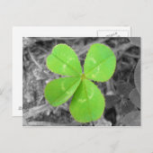 Four Leaf Clover Postcard - Black & White & Green Postkarte (Vorne/Hinten)