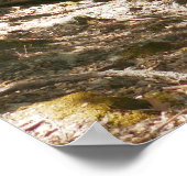 Four Mile Trail Poster (Ecke)