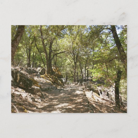 Four Mile Trail Postkarte (Vorderseite)