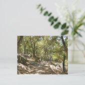 Four Mile Trail Postkarte (Stehend Vorderseite)
