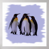 Four Pinguins Poster 24X24" (Vorne)