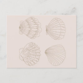 Four Shells Postkarte