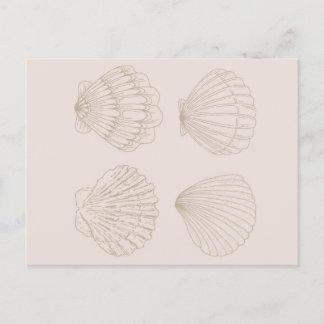 Four Shells Postkarte