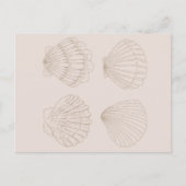 Four Shells Postkarte (Vorderseite)