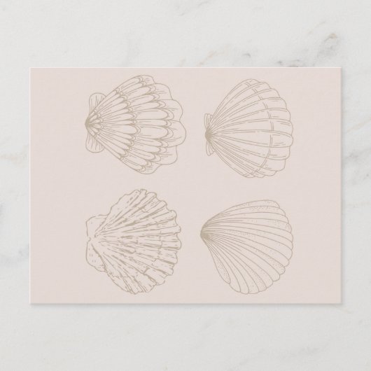 Four Shells Postkarte (Vorderseite)