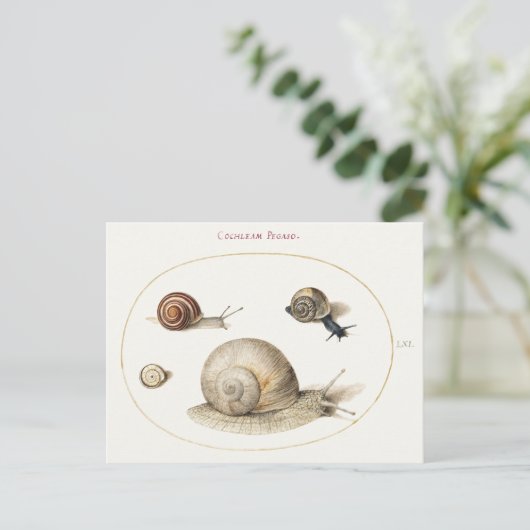 Four Snails Illustration Postkarte (Stehend Vorderseite)