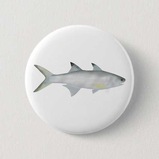 Fourfinger Threadfin Button (Vorderseite)