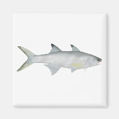 Fourfinger Threadfin Magnet (Vorne)