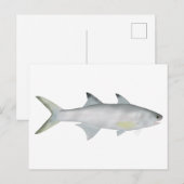 Fourfinger Threadfin Postkarte (Vorne/Hinten)