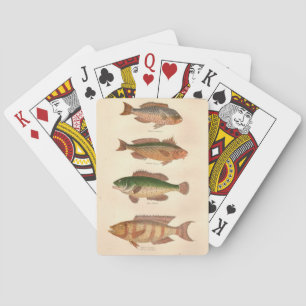 FourFish Spielkarten