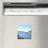 Fowey Magnet (In Situ (Geschirrspüler))