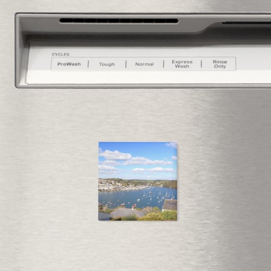 Fowey Magnet (In Situ (Geschirrspüler))