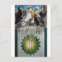 Fowl Language von Paul Jackson aws,nws