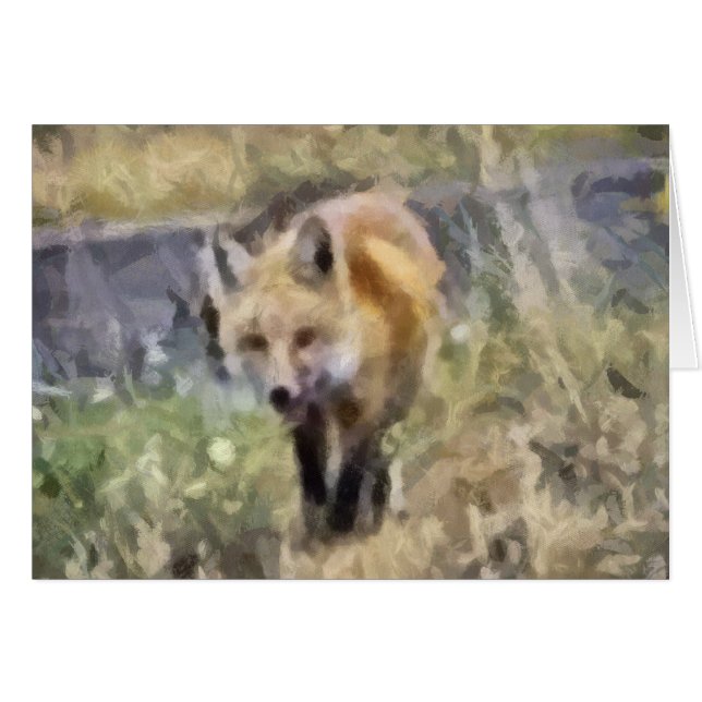 Fox (Vorderseite (Horizontal))