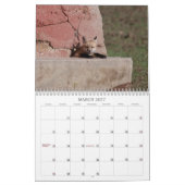 Fox 2011 kalender (Mär 2027)
