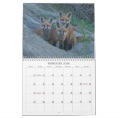 Fox 2011 kalender (Feb 2026)