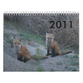 Fox 2011 kalender (Titelbild)